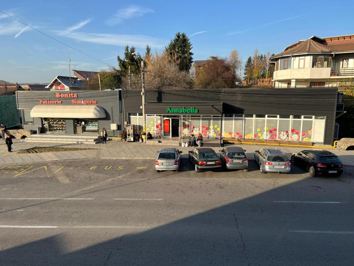 Apartament Centrul Vechi Curtea de Argeş Exterior foto